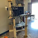 La Veiga 54 度假居