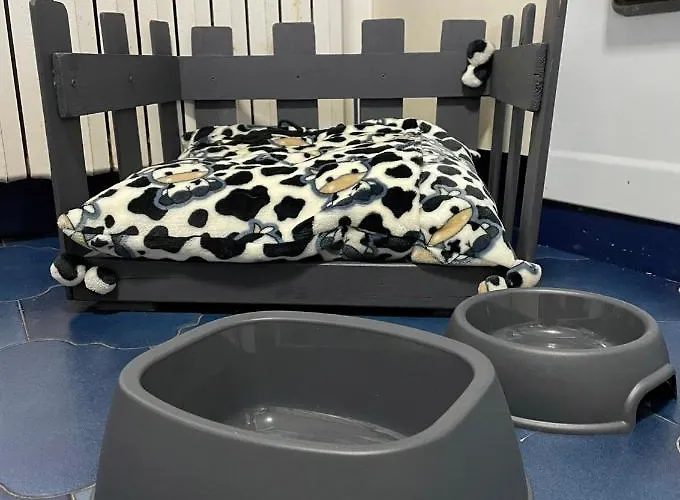 La Veiga 54 칼다스 데 레이스